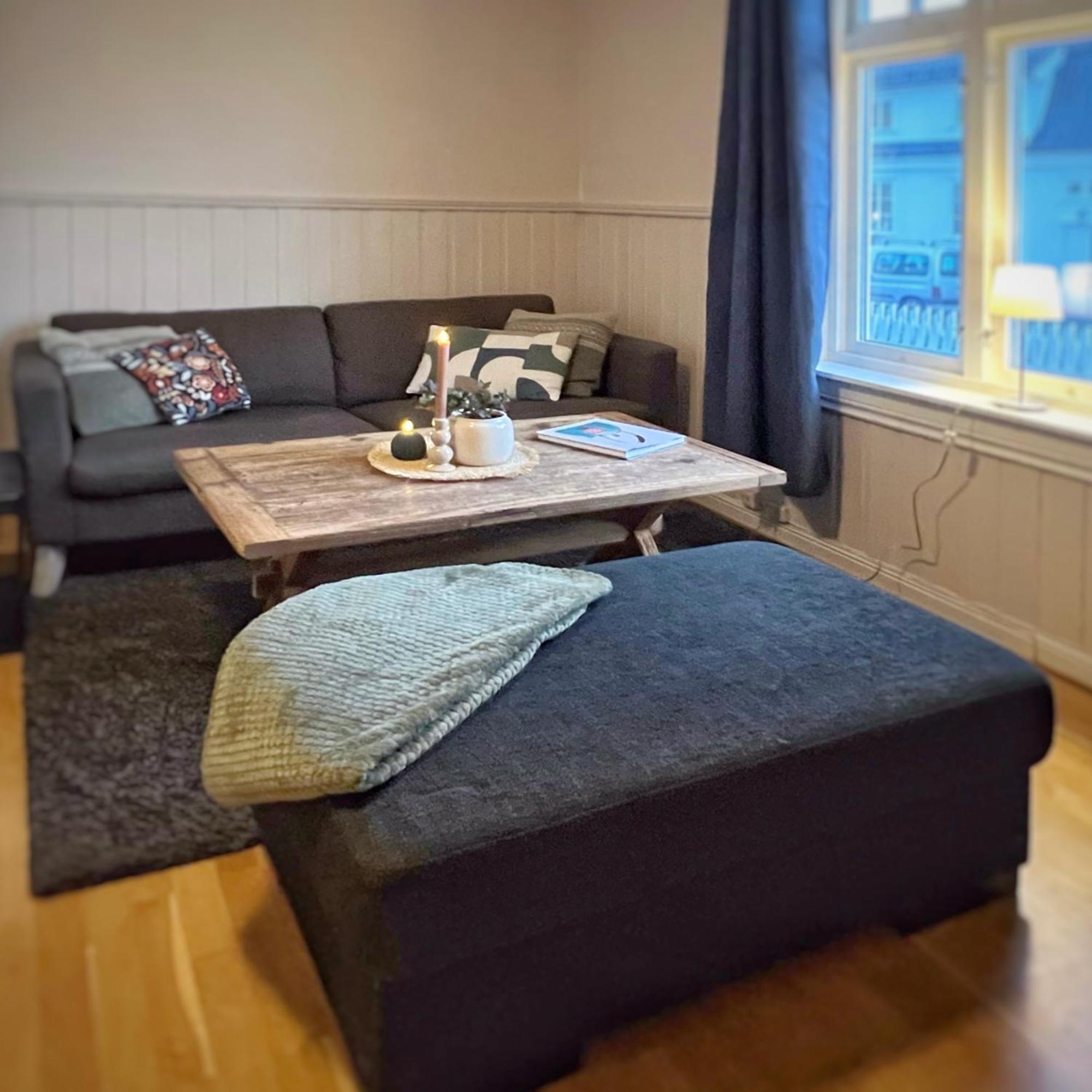 Os Apartments Halden - Sentrumsnaert Og Fredelig Buitenkant foto